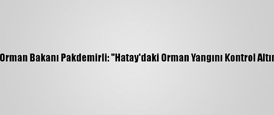 Tarım Ve Orman Bakanı Pakdemirli: "Hatay'daki Orman Yangını Kontrol Altına Alındı"
