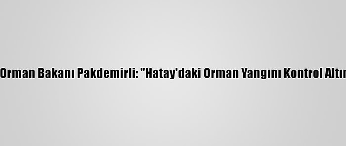 Tarım Ve Orman Bakanı Pakdemirli: "Hatay'daki Orman Yangını Kontrol Altına Alındı"