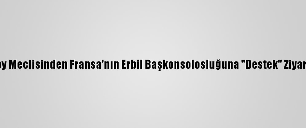Ikby Meclisinden Fransa'nın Erbil Başkonsolosluğuna "Destek" Ziyareti
