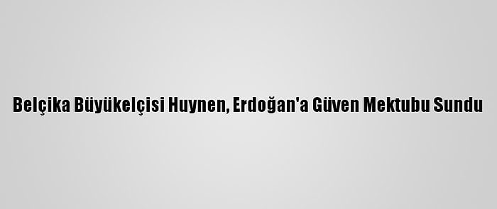 Belçika Büyükelçisi Huynen, Erdoğan'a Güven Mektubu Sundu