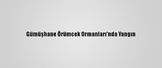 Gümüşhane Örümcek Ormanları'nda Yangın