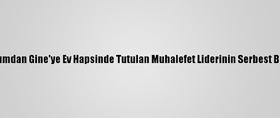 Uluslararası Toplumdan Gine'ye Ev Hapsinde Tutulan Muhalefet Liderinin Serbest Bırakılması Çağrısı