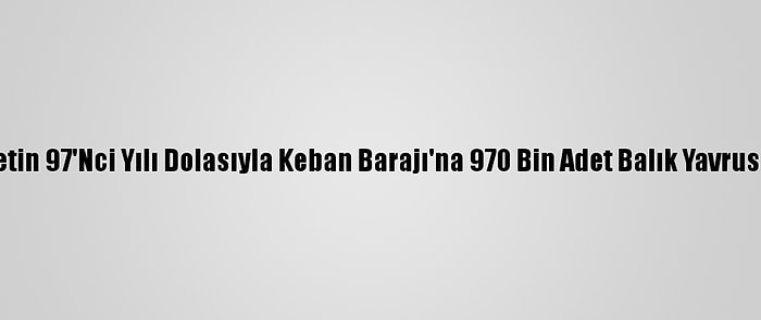 Cumhuriyetin 97'Nci Yılı Dolasıyla Keban Barajı'na 970 Bin Adet Balık Yavrusu Bırakıldı