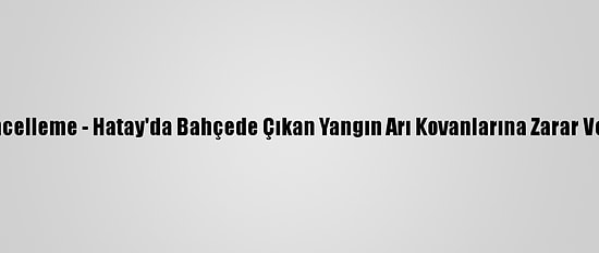 Güncelleme - Hatay'da Bahçede Çıkan Yangın Arı Kovanlarına Zarar Verdi