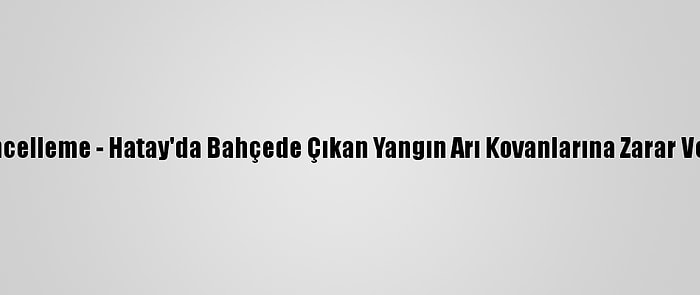 Güncelleme - Hatay'da Bahçede Çıkan Yangın Arı Kovanlarına Zarar Verdi