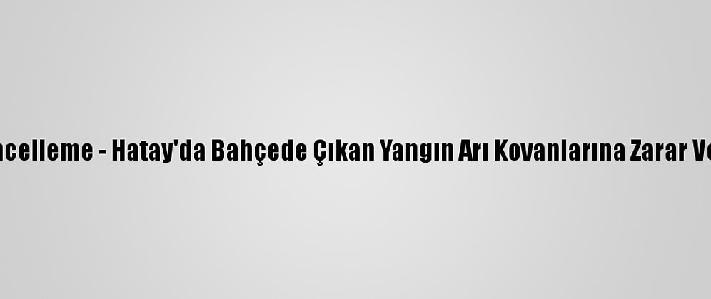 Güncelleme - Hatay'da Bahçede Çıkan Yangın Arı Kovanlarına Zarar Verdi