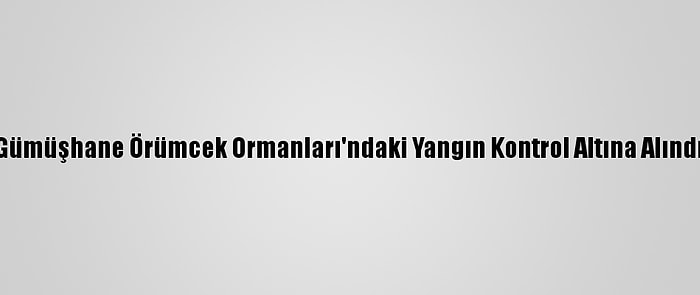 Gümüşhane Örümcek Ormanları'ndaki Yangın Kontrol Altına Alındı