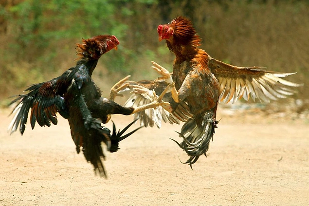 Hastanede hayatını kaybetti