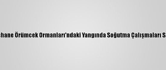Gümüşhane Örümcek Ormanları'ndaki Yangında Soğutma Çalışmaları Sürüyor