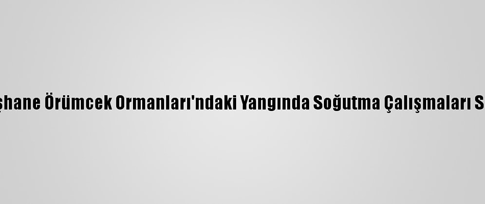 Gümüşhane Örümcek Ormanları'ndaki Yangında Soğutma Çalışmaları Sürüyor