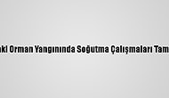 Hatay'daki Orman Yangınında Soğutma Çalışmaları Tamamlandı