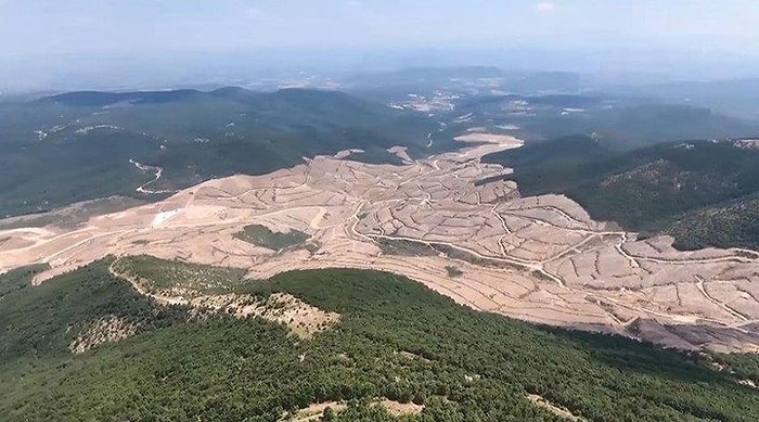 Kaz Dağları'nda Yüzbinlerce Ağacı Kesen Alamos Gold, Devletten Tazminat Alarak Sahadan Çekildi