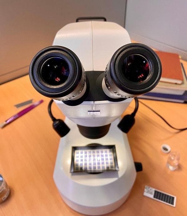 13. "Kullandığım mikroskop ağzı, burnu ve gözleri olan bir robota benziyor."