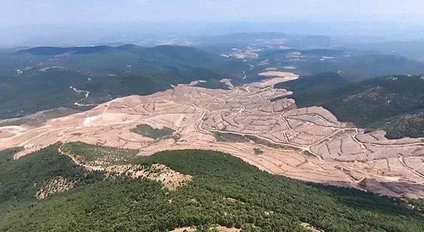 Kanadalı Alamos Gold şirketi, Kaz Dağları'nda kestiği 195 bin ağacın ardından devletten tazminat alarak sahadan çekildi.