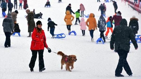 3. Bazı arama kurtarma köpekleri kar altında mahsur kalan insanları kurtarmak için özel olarak eğitiliyor.