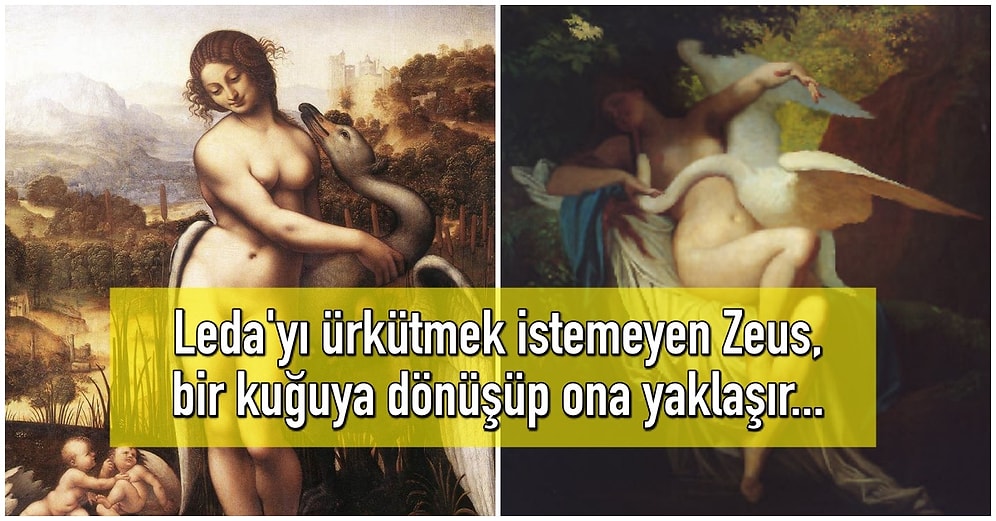 Tanrı Zeus'un Uçkur Sevdasına Bu Kez de Kuğuya Dönüşüp Kraliçe Leda'yı Baştan Çıkarma Hikayesi