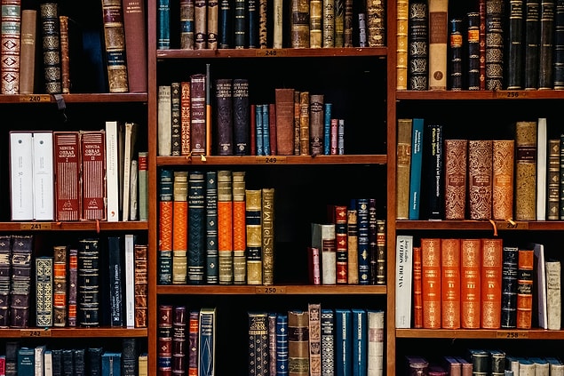 1. Norveç'te yeni bir kitap basıldığında eğer kitap yetişkinlere yönelikse Norveç Sanat Konseyi bu kitaptan bin adet ve eğer çocuklara yönelikse 1500 adet satın alır ve kütüphanelere bağışlar.