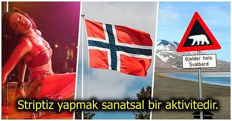 Norveç ve Kültürüyle Alakalı Daha Önce Hiçbir Yerde Duymadığınız Birbirinden Enteresan 14 Gerçek