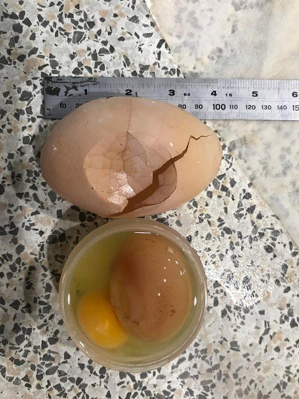 3. "Tavuğumuz 10 cm boyutunda bir yumurta yumurtladı ve içinden bir tane daha çıktı."