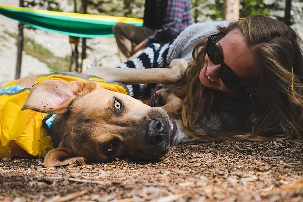 21. 2019'daki bir araştırmaya göre köpek sahiplerinin %44'ü duygusal destek için sorunlarını arkadaşlarına değil de köpekleriyle paylaşmayı tercih ediyorlar.