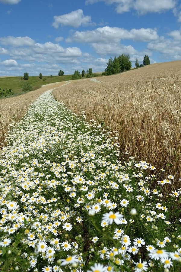 7. Только тут можно найти такие потрясающие пейзажи и виды!