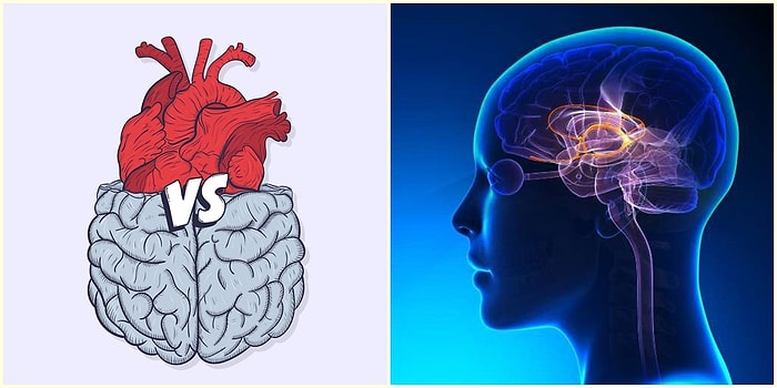 Uğur Batı Yazio: Kararlarımızı Nasıl Veririz?