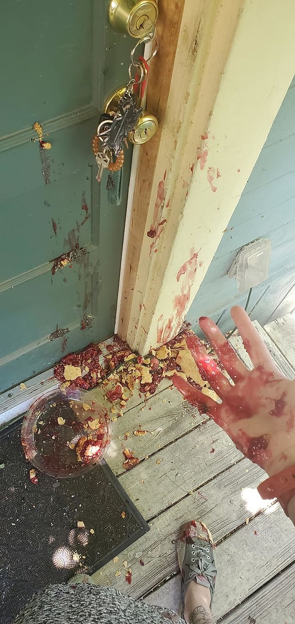 24. "Моей маме вдруг захотелось черничного пирожка. Я испекла пирог и ... уронила его на пути к маме".