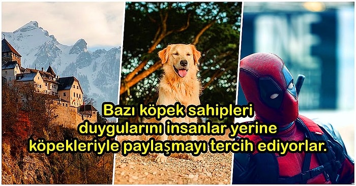 Daha Önce Hiçbir Yerde Duymadığınız Birbirinden Şaşırtıcı ve Öğretici 21 Bilgi