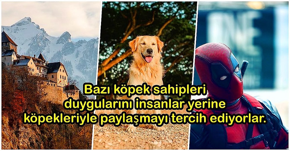 Daha Önce Hiçbir Yerde Duymadığınız Birbirinden Şaşırtıcı ve Öğretici 21 Bilgi