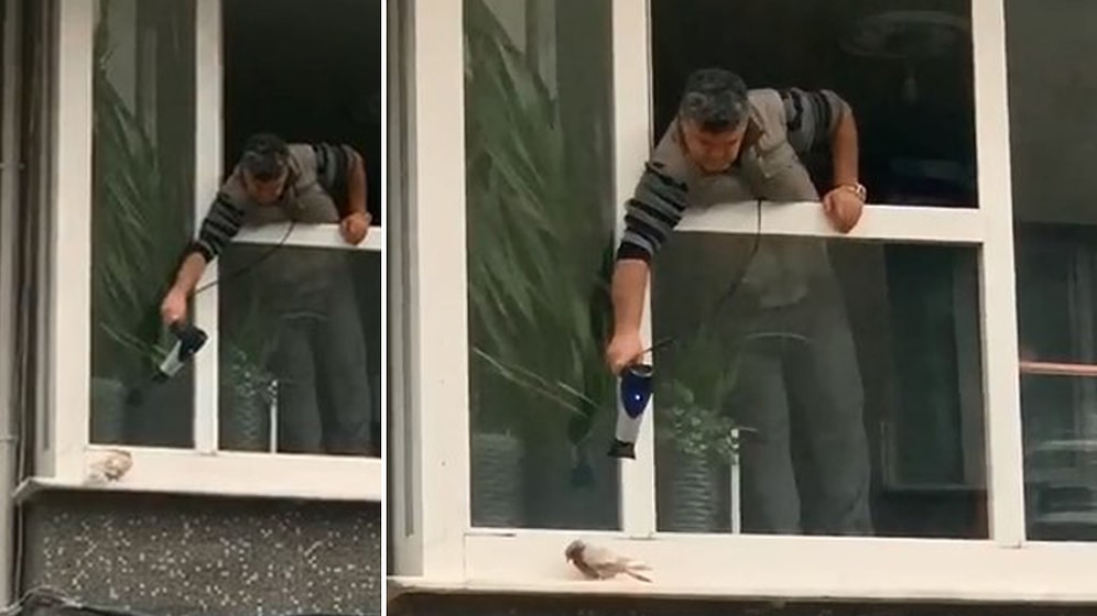 İzlerken Sizin de İçiniz Isınacak: Soğuktan Titreyen Kumruya Saç Kurutma Makinalı Müdahale