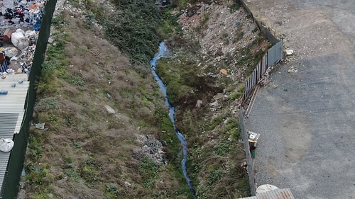 Sultangazi'deki Dere Mavi ve Siyah Akıyor; Alibeyköy Barajı'na Ulaşıyor İddiası