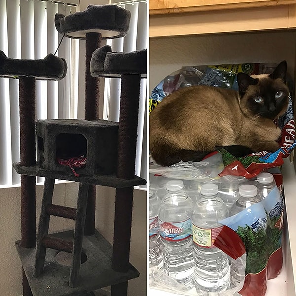 22. Лучшие 300 долларов, которые я когда-либо тратил