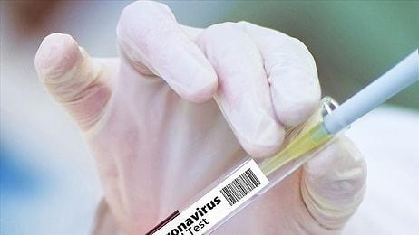 BioNTech ve Pfizer’in Geliştirdiği Kovid-19 Aşısının Fiyatı Belli Oldu