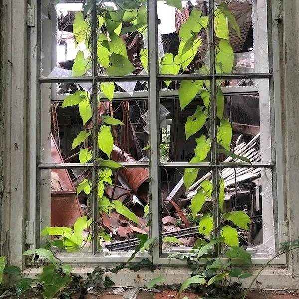 6. Заброшенное здание заново обживают новые жильцы.