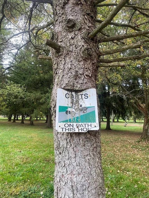 12. Ммм, какая табличка!