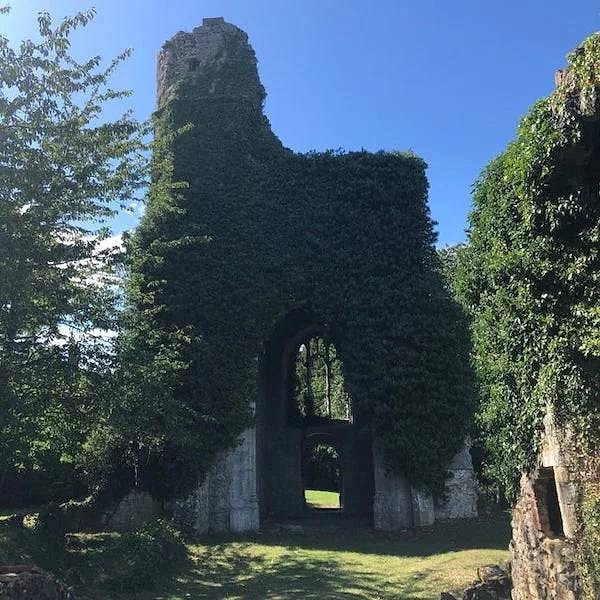 14. Церковь в графстве Кент, Великобритания, которую разбомбили во время Второй мировой войны, превратилась в произведение "природного" искусства.