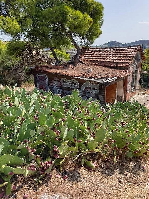 22. Вот такой "эко-дом" где-то в Афинах в солнечной Греции.