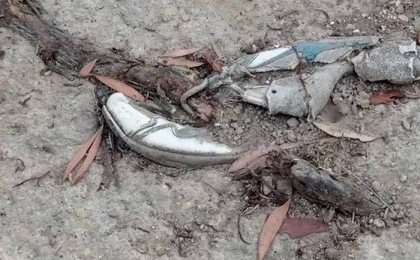 23. Круговорот веществ в природе.