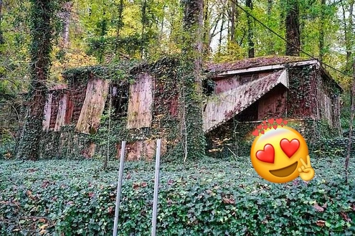 25 фотографий, на которых природа выигрывает битву у человечества