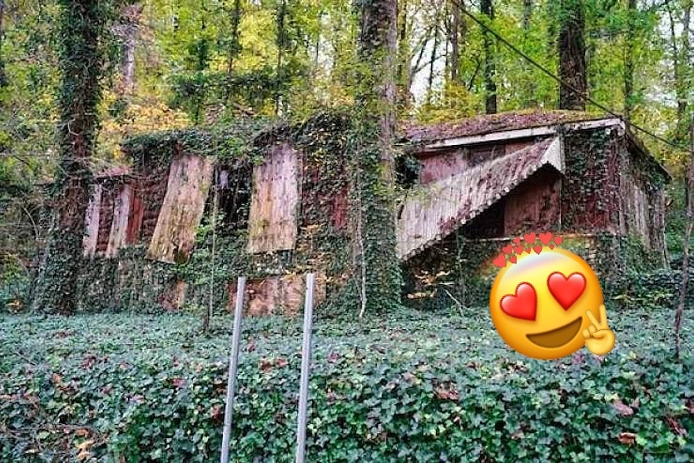 25 фотографий, на которых природа выигрывает битву у человечества