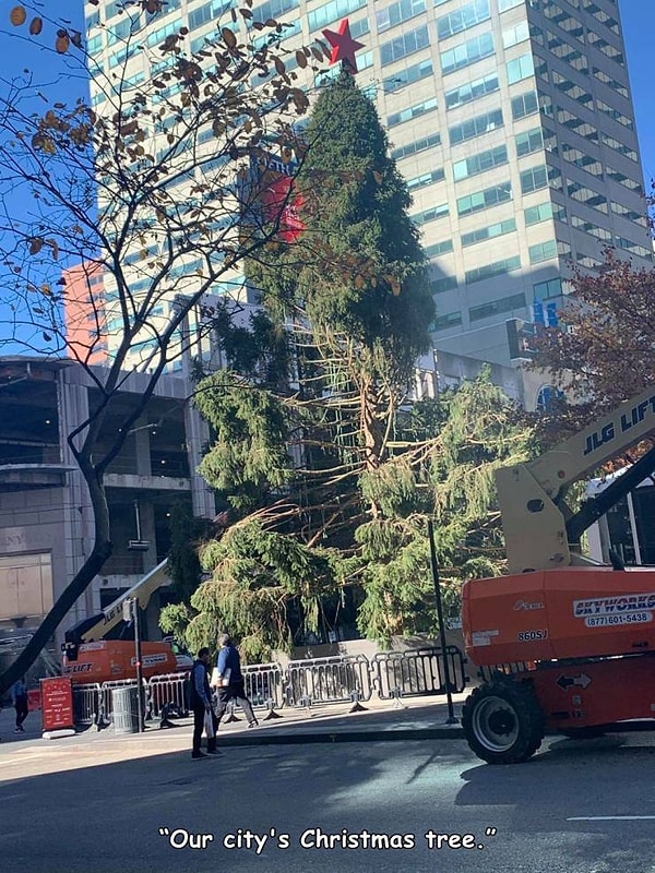 10. "Зацените рождественскую елку в нашем городке".