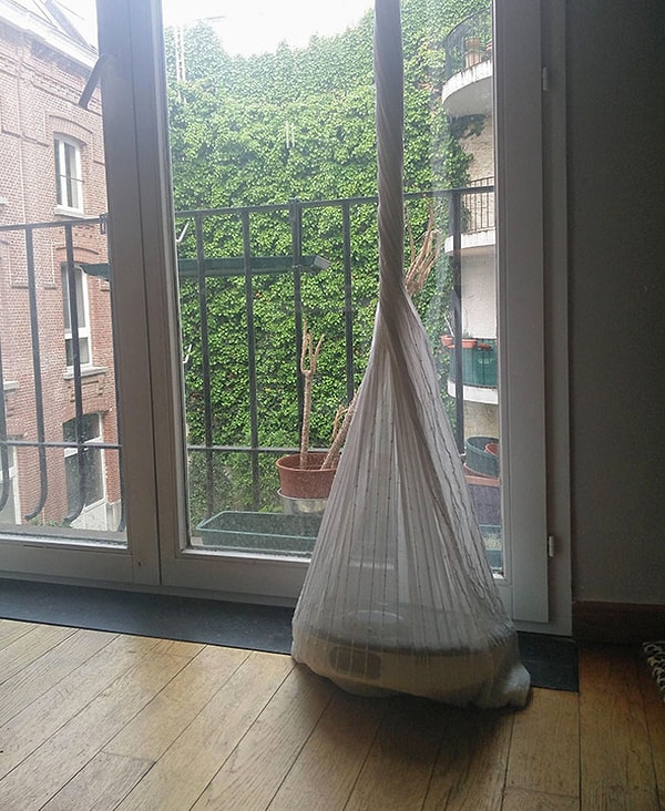 8. Сегодня я пришел домой и увидел своего робота-пылесоса, решившего принарядиться