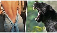Karşı Cinste Görür Görmez Vücuttaki Libidonun Sel Olup Aktığı Detaylar