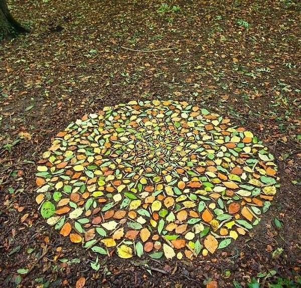 16. "Давайте все вместе насладимся этим зрелищем, пока не подул ветерок".