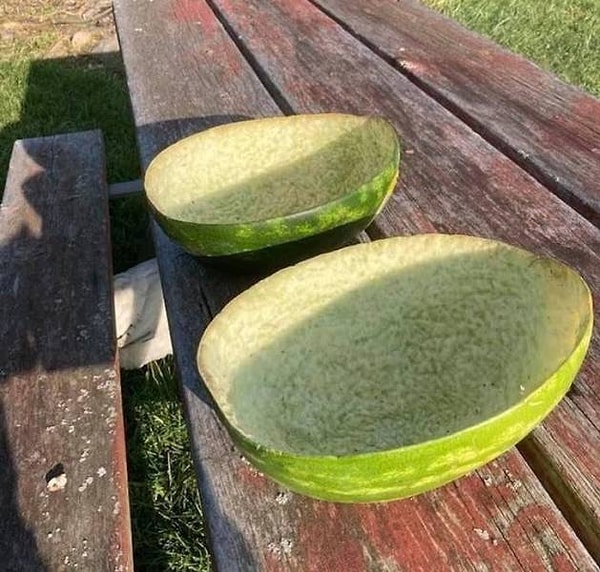 18. "Мой друг позволил своим домашним курам поклевать арбуз. Безупречная работа!"