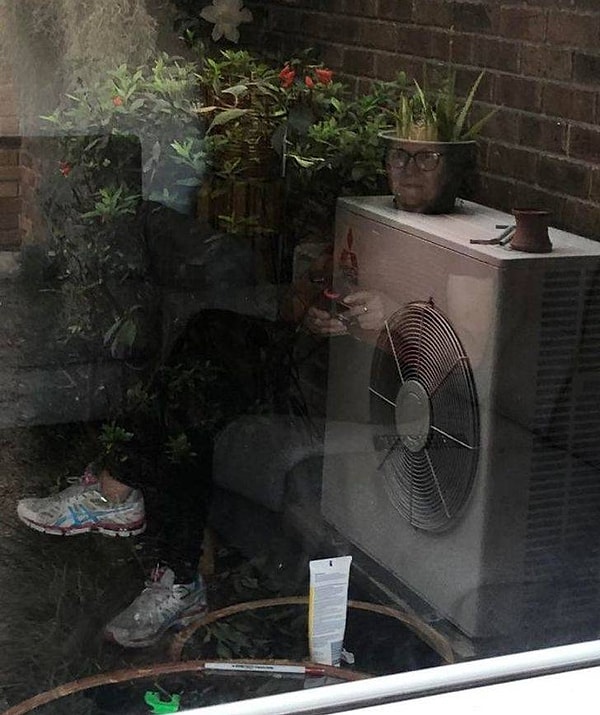 4. "Отражение в стекле превратило мою маму в трансформера с головой-цветочным горшком".