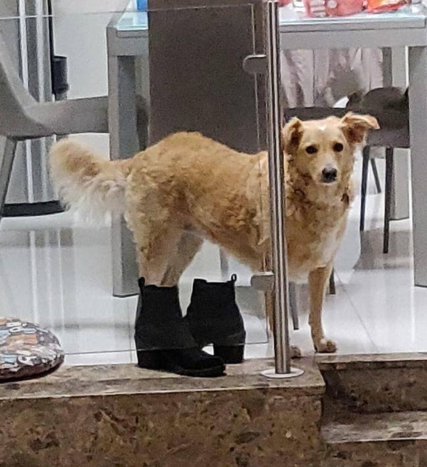 5. Как вам размерчик?