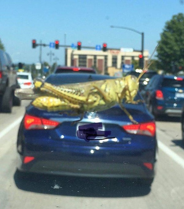 29. "Не обращайте на меня внимания, я просто доеду с вами до ближайшей остановки".