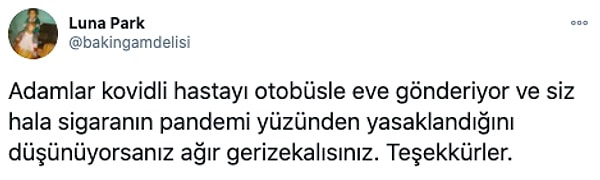 Bu yasağın arkasında bambaşka bir sebep olduğunu savunarak bunu eleştirenler de vardı.