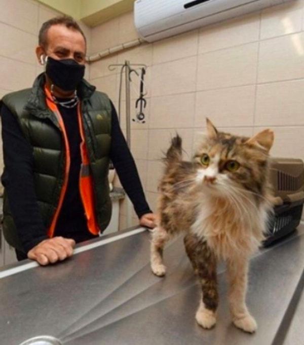 14. Haluk Levent, İzmir depreminin ardından enkazdan çıkarılan kedilerden birini sahiplendi!